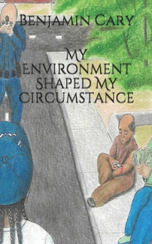 Kniha My Environment Shaped My Circumstance Smith Sykes