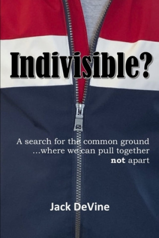 Kniha Indivisible?: A search for the common ground...where we can pull together, not apart Jack Devine