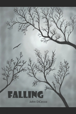 Knjiga Falling John Dicecco