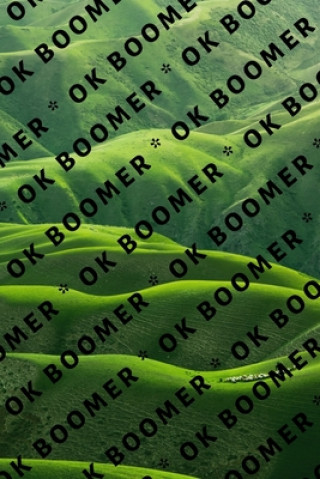 Carte Ok Boomer Hussar Publishing Group