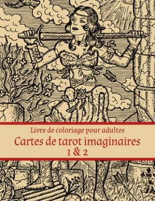 Könyv Livre de coloriage pour adultes Cartes de tarot imaginaires 1 & 2 Nick Snels