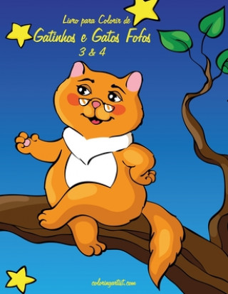 Carte Livro para Colorir de Gatinhos e Gatos Fofos 3 & 4 Nick Snels