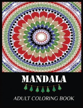 Kniha Mandala Adult Coloring Book: 100 Magical Mandalas - An Adult Coloring Book with Fun, Easy, and Relaxing Mandalas Shamonto Press