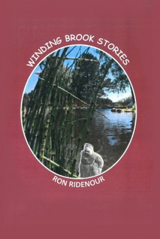Libro Winding Brook Stories Ron Ridenour