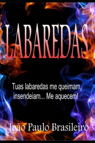 Buch Labaredas: Sonho Joao Paulo Brasileiro