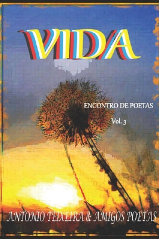 Buch Vida: Encontro de Poetas Joao Paulo Brasileiro