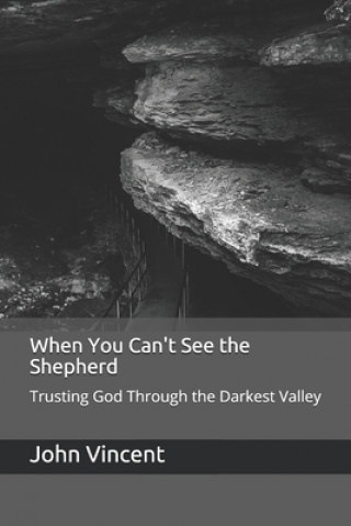 Book When You Can't See the Shepherd: Trusting God Through the Darkest Valley John E. Vincent