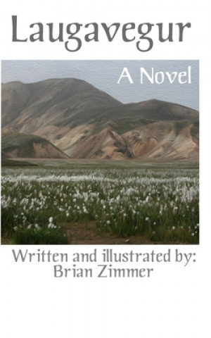Buch Laugavegur Brian Zimmer