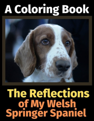 Carte Reflections of My Welsh Springer Spaniel Brightview Activity Books
