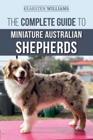 Kniha Complete Guide to Miniature Australian Shepherds Dylan Tatum