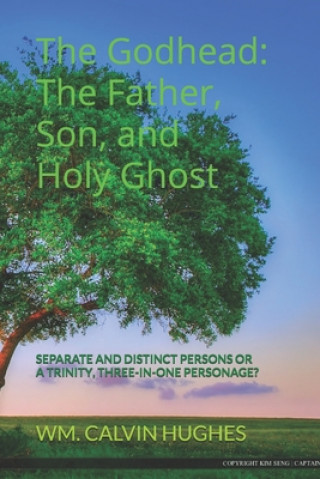 Knjiga The Godhead: The Father, Son, and the Holy Ghost: Separate and Distinct Individuals or a Trinity, Three-In-One Personage? Wm Calvin Hughes