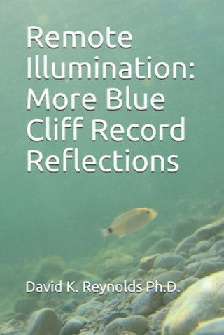 Kniha Remote Illumination: More Blue Cliff Record Reflections David K. Reynolds Ph. D.