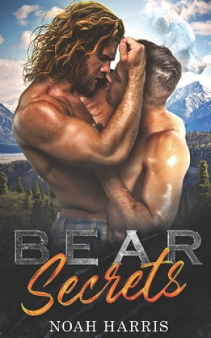 Book Bear Secrets Noah Harris