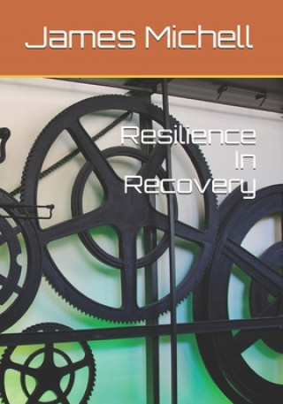 Knjiga Resilience In Recovery James David Michell