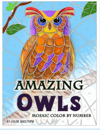 Carte Amazing Owls Mosaic Color by Number Color Questopia