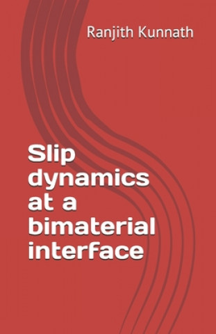 Kniha Slip dynamics at a bimaterial interface Ranjith Kunnath