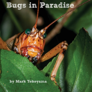 Knjiga Bugs in Paradise Mark Yokoyama
