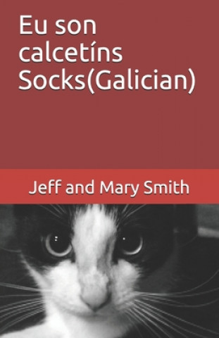 Kniha Eu son calcetíns Socks(Galician) Jeff and Mary Smith