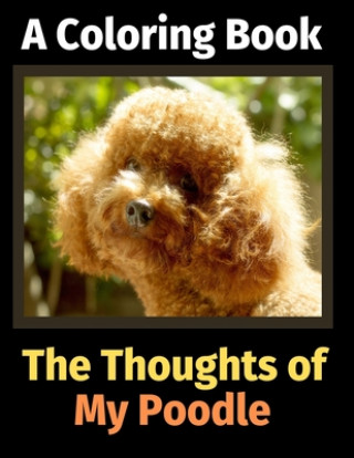 Knjiga Thoughts of My Poodle Brightview Activity Books
