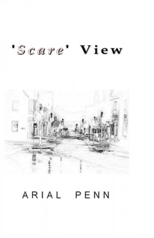 Book 'Scare View' Arial Penn