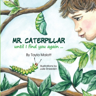 Kniha Mr. Caterpillar Julie Sneeden