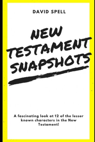 Kniha New Testament Snapshots David Spell