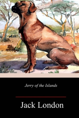 Książka Jerry of the Islands Jack London