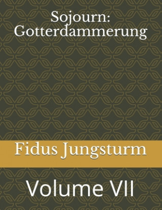 Kniha Sojourn: Gotterdammerung: Volume VII Fidus Jungsturm