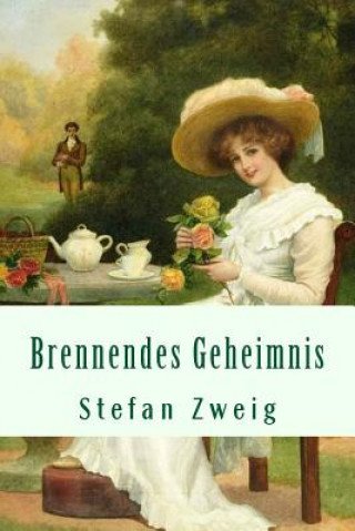 Kniha Brennendes Geheimnis Stefan Zweig