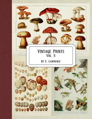 Carte Vintage Prints: Vol. 5 E. Lawrence