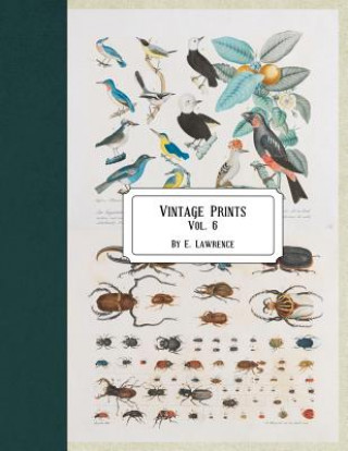 Knjiga Vintage Prints: Vol. 6 E. Lawrence