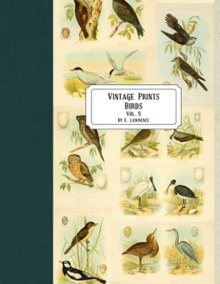 Книга Vintage Prints: Birds: Vol. 5 E. Lawrence