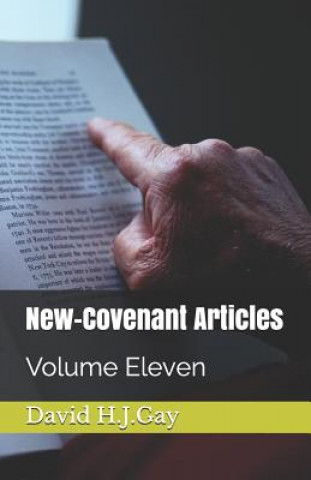 Kniha New-Covenant Articles: Volume Eleven David H. J. Gay