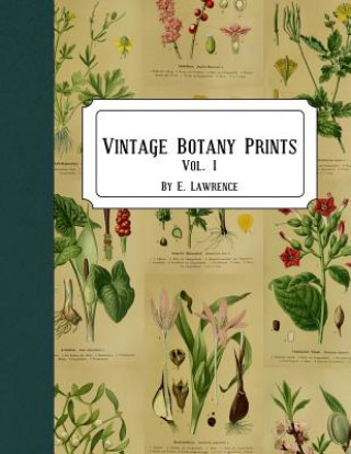 Kniha Vintage Botany Prints: Vol. 1 E. Lawrence