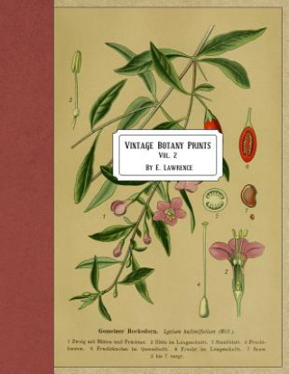 Knjiga Vintage Botany Prints: Vol. 2 E. Lawrence