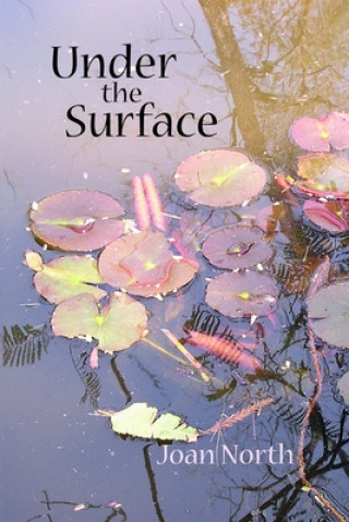 Knjiga Under the Surface Joan North