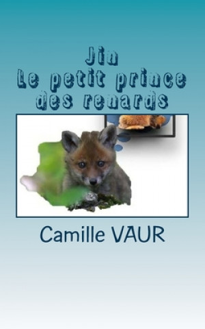 Kniha Jin, le petit prince des renards Camille/C Vaur/V