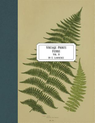 Könyv Vintage Prints: Ferns: Vol. 9 E. Lawrence