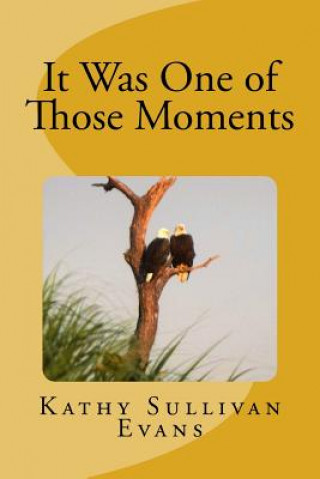 Buch It Was One of Those Moments Kathy Sullivan Evans