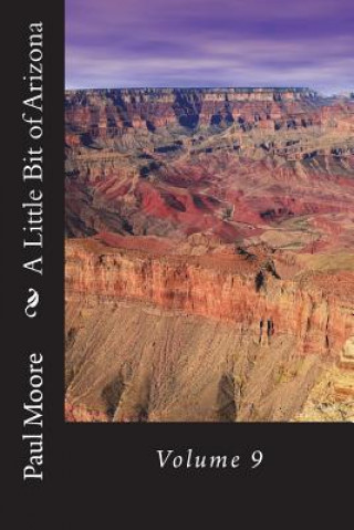 Kniha A Little Bit of Arizona: Volume 9 Paul B. Moore