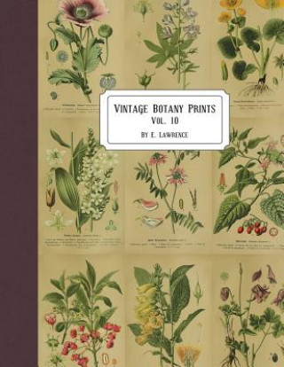 Kniha Vintage Botany Prints: Vol. 10 E. Lawrence