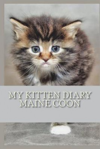 Kniha My kitten diary: Maine coon Steffi Young