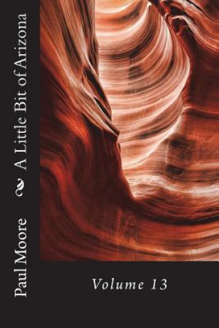 Book A Little Bit of Arizona: Volume 13 Paul B. Moore