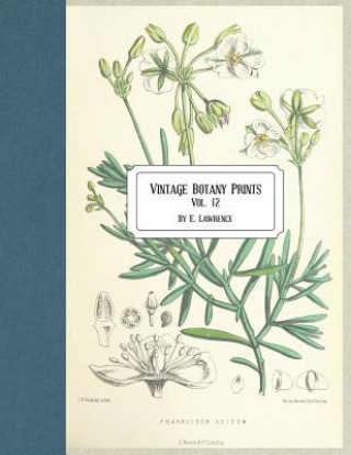 Carte Vintage Botany Prints: Vol. 12 E. Lawrence
