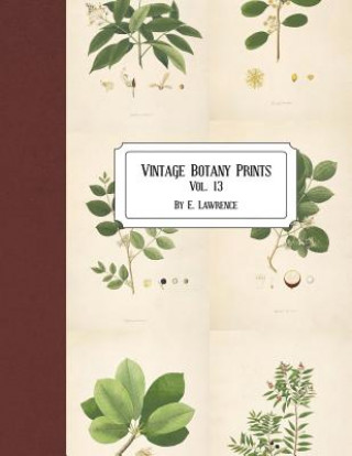 Knjiga Vintage Botany Prints: Vol. 13 E. Lawrence