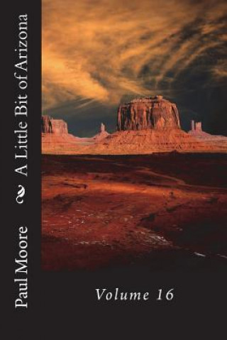 Book A Little Bit of Arizona: Volume 16 Paul B. Moore