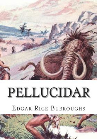 Buch Pellucidar Edgar Rice Burroughs