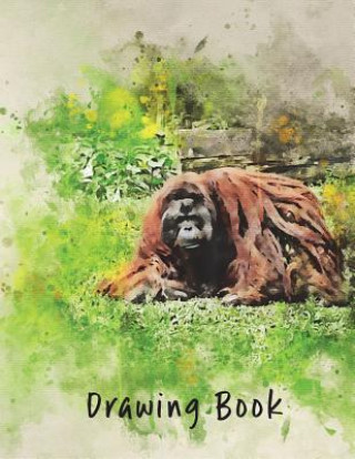 Książka Drawing Book: Orangutang Marian Blake