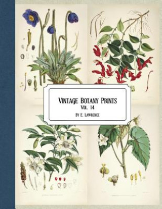 Carte Vintage Botany Prints: Vol. 14 E. Lawrence