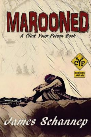 Book Marooned James Schannep